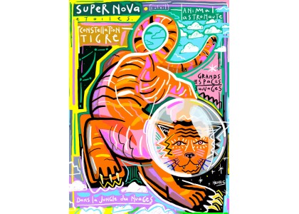 TIGRE SUPERNOVA